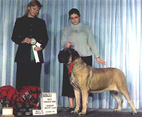 Jade winning Best Canadian Bred.