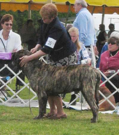 buckstrenton0031dog_open