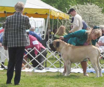 buckstrenton0033dog_open