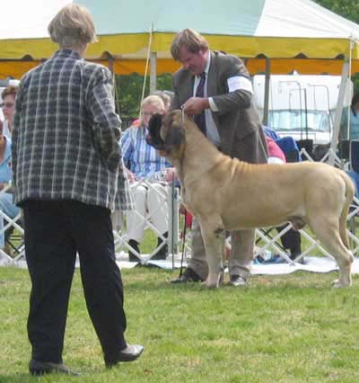 buckstrenton0041dog_open