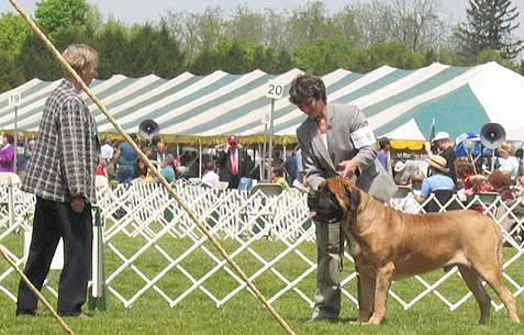 buckstrenton0158bob