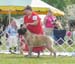 buckstrenton0040dog_open