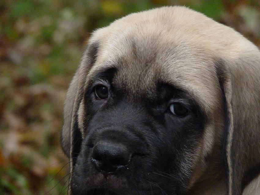 Farley 8 weeks