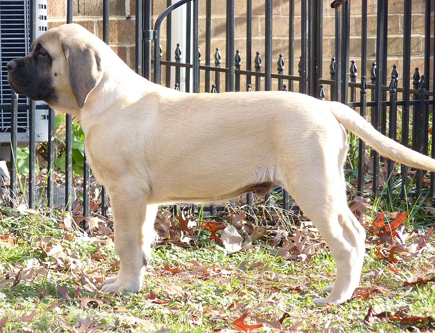 Farley at 14 weeks