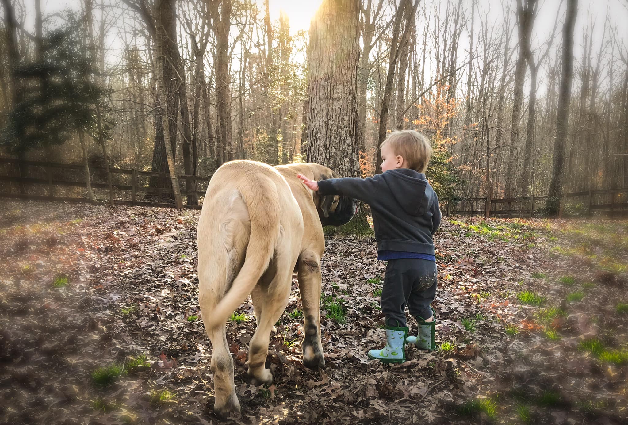 Farley at 5.5 years