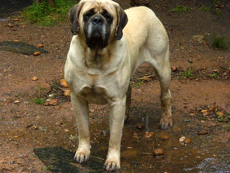 Farley at 3 years