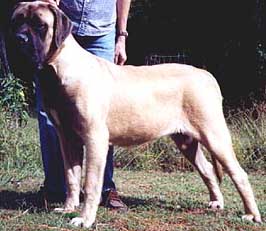 Fatty at 9 months of age.