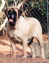 Inga at 3 years of age.