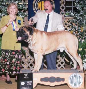 Levi winning Best of Breed!