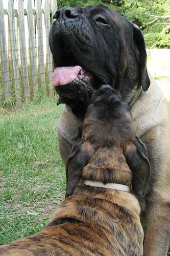 Logan at 5 months with uncle Junior.