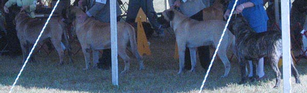 odkc_fall05_0003