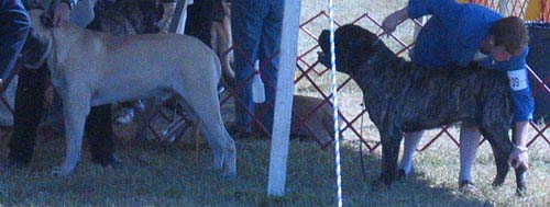 odkc_fall05_0006