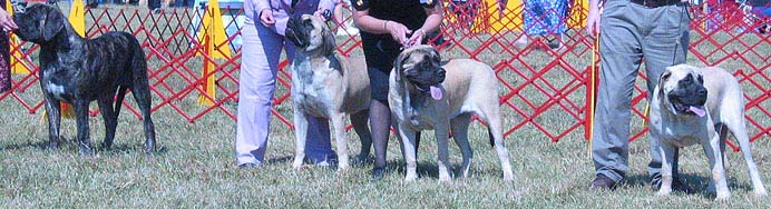 odkc_fall05_0009