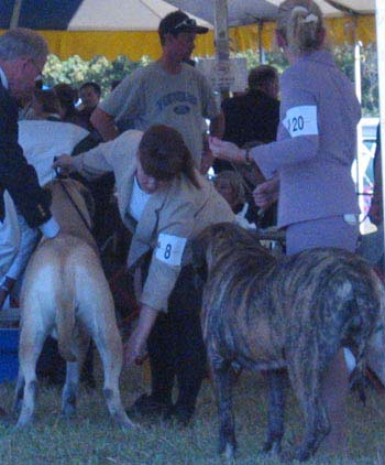 odkc_fall05_0010