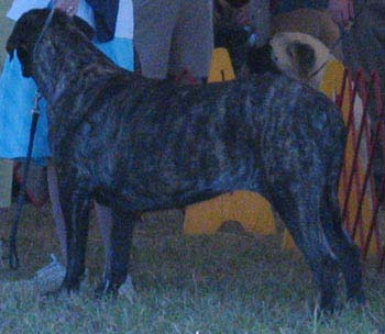odkc_fall05_0012
