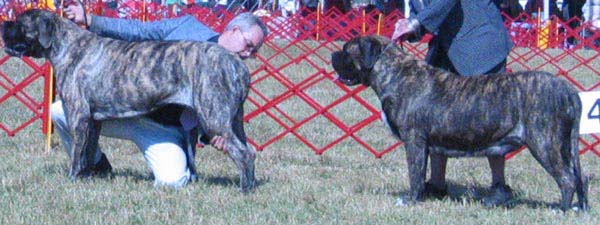 odkc_fall05_0019