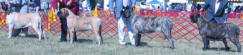 odkc_fall05_0020