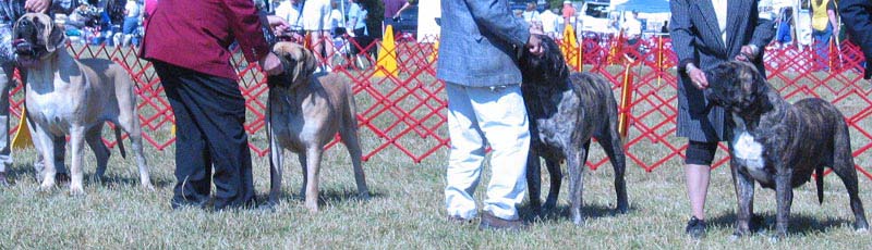 odkc_fall05_0026