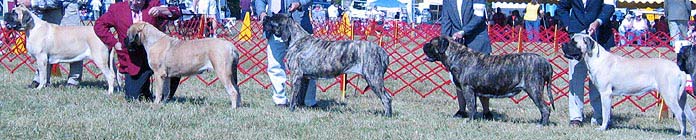 odkc_fall05_0027