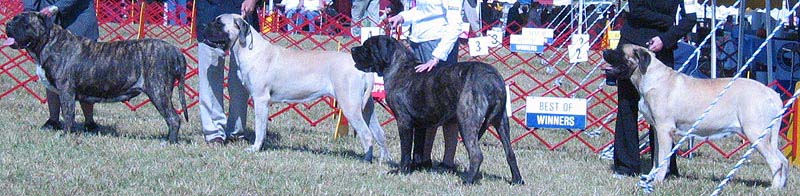 odkc_fall05_0028