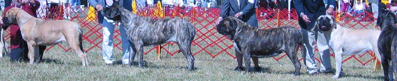odkc_fall05_0029