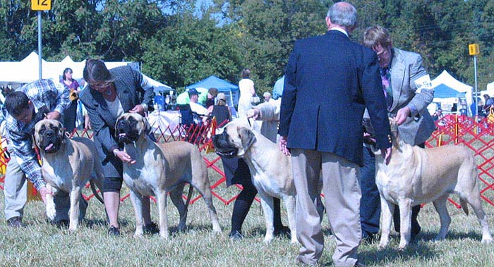 odkc_fall05_0031