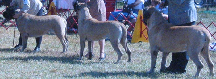odkc_fall05_0049