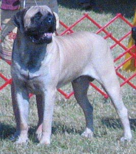 odkc_fall05_0054b