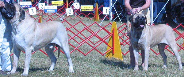 odkc_fall05_0058
