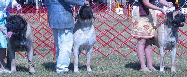 odkc_fall05_0059