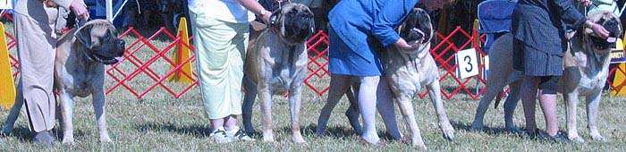 odkc_fall05_0060