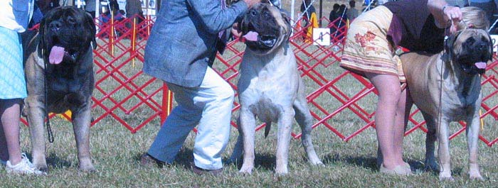 odkc_fall05_0065