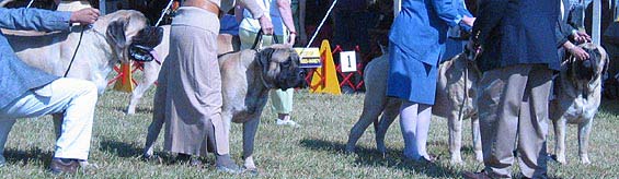 odkc_fall05_0070