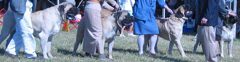 odkc_fall05_0071