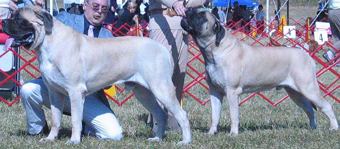 odkc_fall05_0072