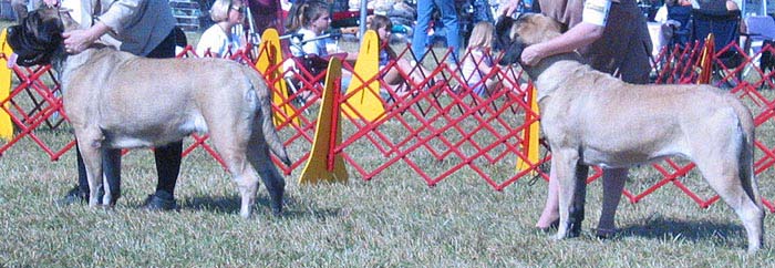 odkc_fall05_0076