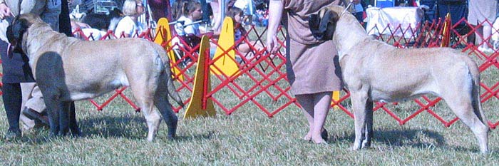 odkc_fall05_0077