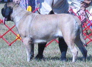 odkc_fall05_0078