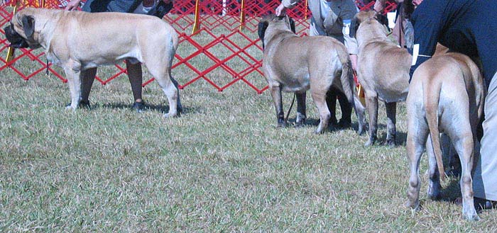 odkc_fall05_0079
