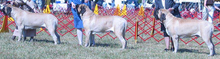 odkc_fall05_0080