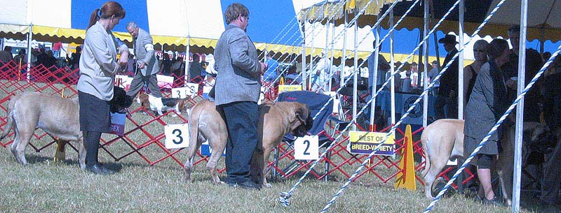 odkc_fall05_0083