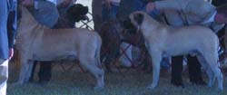 odkc_fall05_0005