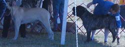 odkc_fall05_0006