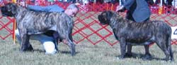 odkc_fall05_0019