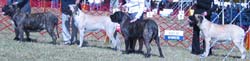 odkc_fall05_0028