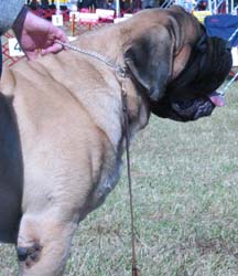 odkc_fall05_0034