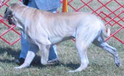 odkc_fall05_0054