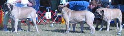 odkc_fall05_0055