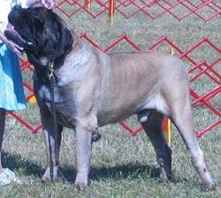 odkc_fall05_0056
