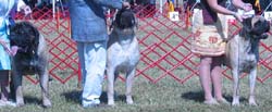 odkc_fall05_0059